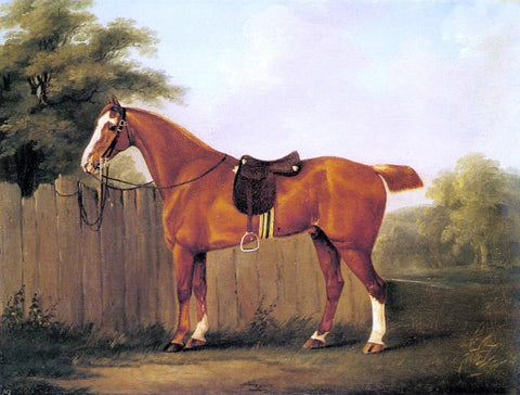  John Nost Sartorius A Chestnut Hunter Tethered to a Fence - Hand Painted Oil Painting