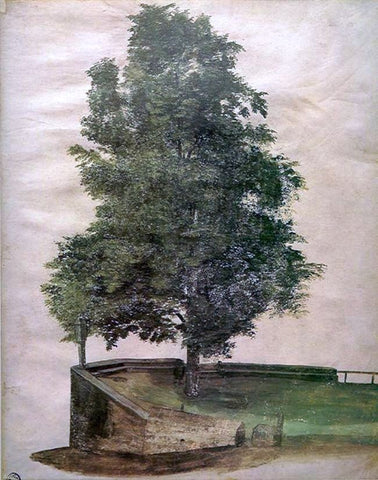  Albrecht Durer Linden Tree on a Bastion - Hand Painted Oil Painting