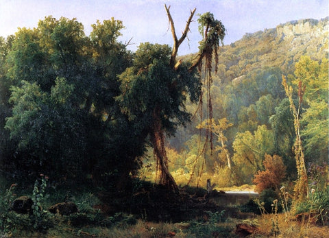  Jacobus Nicolaas Tjarda Starckenborgh  Van Stachouwer A West Virginia Forest - Hand Painted Oil Painting