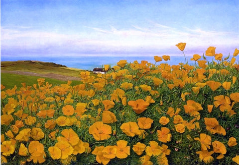  Johanne Louise Frimodt A Field of Buttercups by the Coast - Hand Painted Oil Painting