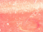  Our Original Collection Pink Scratch Abstract - Hand Painted Oil Painting