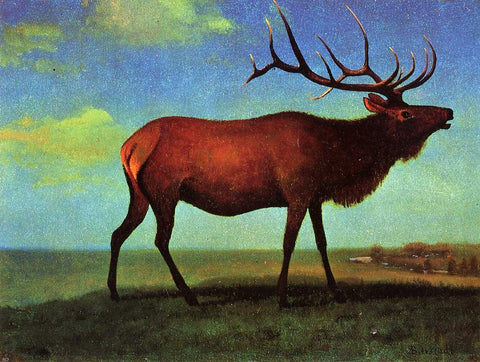  Albert Bierstadt Elk - Hand Painted Oil Painting