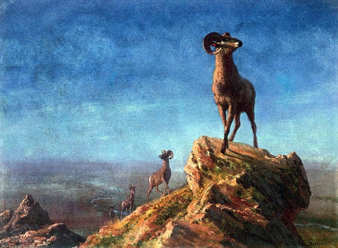  Albert Bierstadt Rocky Mountain Big Horns - Hand Painted Oil Painting