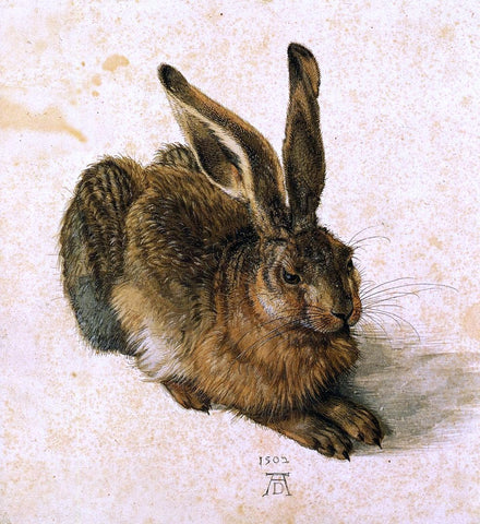  Albrecht Durer A Young Hare - Hand Painted Oil Painting