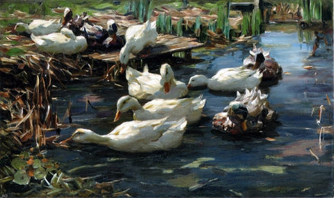  Alexander Koester Ducks in a Quiet Pool - Hand Painted Oil Painting