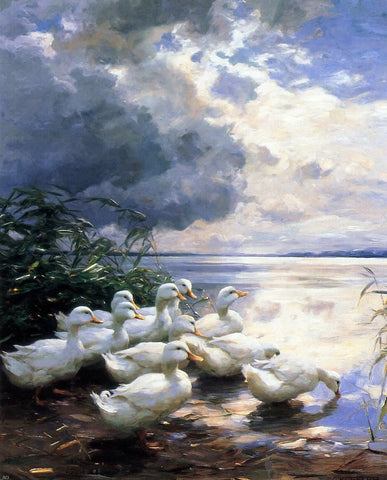  Alexander Koester Ducks in the Morning - Hand Painted Oil Painting