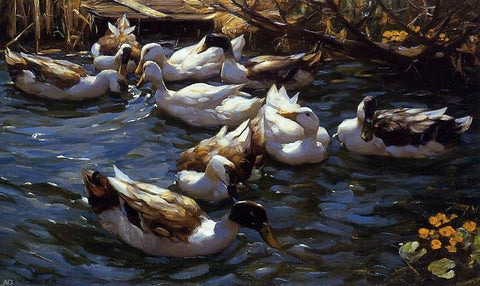  Alexander Koester Ducks in the Reeds under the Boughs - Hand Painted Oil Painting
