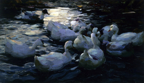  Alexander Koester Enten Im Wasser - Hand Painted Oil Painting