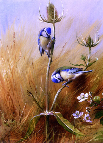  Archibald Thorburn Bluetits On A Teasel - Hand Painted Oil Painting