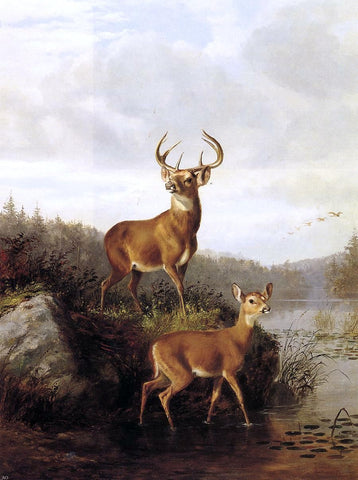  Arthur Fitzwilliam Tait Buck and Doe - Hand Painted Oil Painting