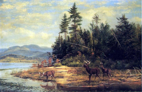  Arthur Fitzwilliam Tait View on Long Lake - Hand Painted Oil Painting