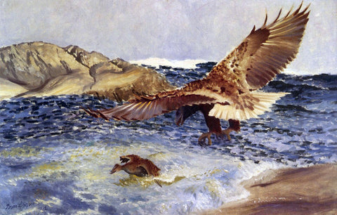  Bruno Liljefors A Sea Eagle Chasing Eider Duck - Hand Painted Oil Painting