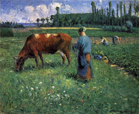  Camille Pissarro A Girl Tending a Cow in a Pasture - Hand Painted Oil Painting