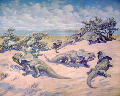 Charles R. Knight Nesting Protoceratops from Late Cretaceous hand ...