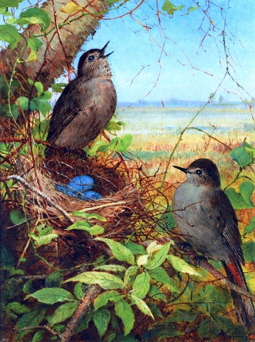  Fidelia Bridges Thurshes Nest - Hand Painted Oil Painting