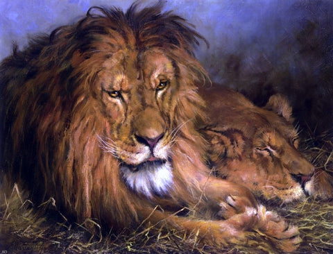  Geza Vastagh A Lion and Lioness - Hand Painted Oil Painting