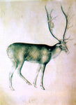  Giovannino De' Grassi Stag (from a sketch-book) - Hand Painted Oil Painting