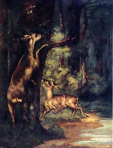  Gustave Courbet Male and Female Deer in the Woods - Hand Painted Oil Painting