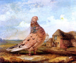  James Ward A Fancy Pigeon - Hand Painted Oil Painting