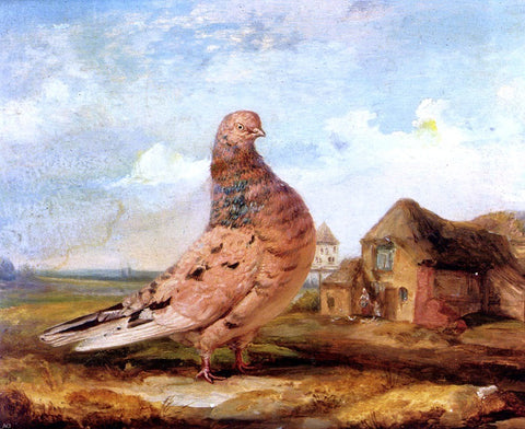  James Ward A Fancy Pigeon - Hand Painted Oil Painting