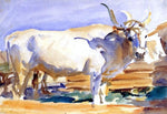  John Singer Sargent A White Ox at Siena - Hand Painted Oil Painting