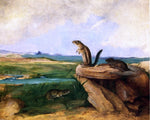  John Woodhouse Audubon Harris Antelope Ground Squirrel, N.M. California Vole and Wood Rat - Hand Painted Oil Painting