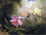  Martin Johnson Heade Carrleya Orchid with Two Hummingbirds - Hand Painted Oil Painting