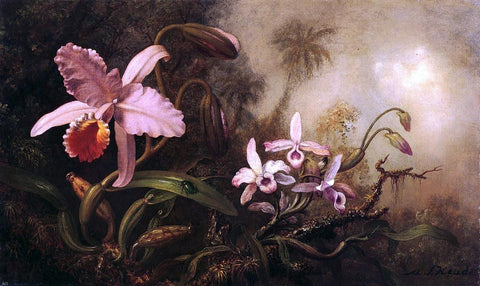  Martin Johnson Heade Orchids and a Beetle - Hand Painted Oil Painting