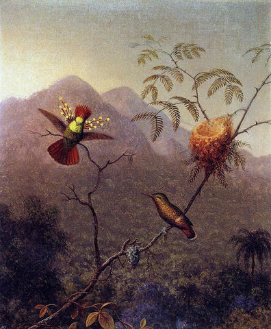  Martin Johnson Heade Tufted Coquette - Hand Painted Oil Painting
