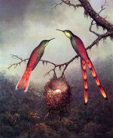  Martin Johnson Heade Two Hummingbirds Garding an Egg - Hand Painted Oil Painting