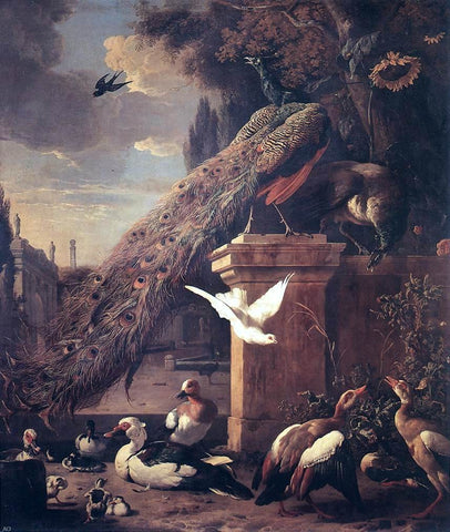  Melchior D'Hondecoeter Peacocks and Ducks - Hand Painted Oil Painting