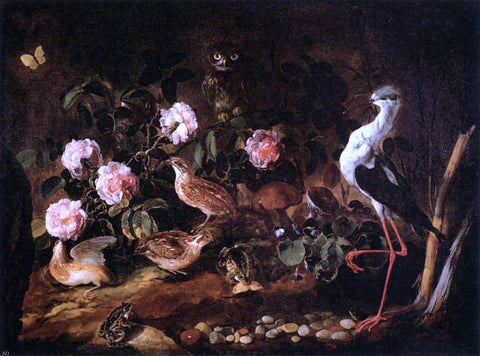  Paolo Porpora Still-Life with an Owl and an Ibis - Hand Painted Oil Painting