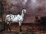  Paulus Potter A Spotted Horse - Hand Painted Oil Painting
