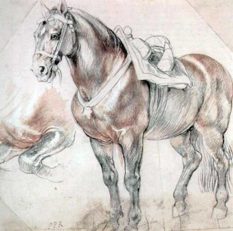  Peter Paul Rubens Etude of horse - Hand Painted Oil Painting