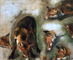  Pieter Boel Studies of a Fox - Hand Painted Oil Painting