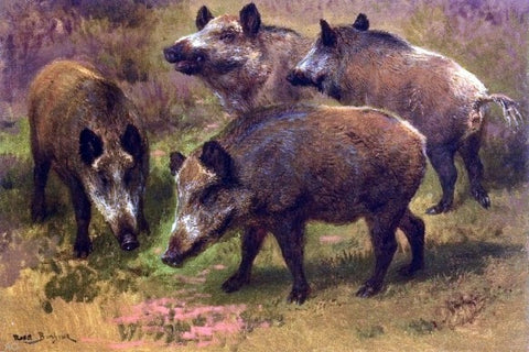  Rosa Bonheur Four Boars in a Landscape - Hand Painted Oil Painting