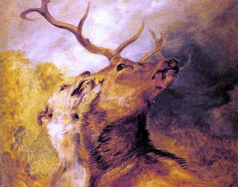  Sir Edwin Henry Landseer Stag and Hound - Hand Painted Oil Painting