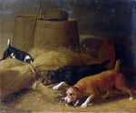  Thomas Hewes Hinckley Rats Amongst the Barley Sheaves - Hand Painted Oil Painting