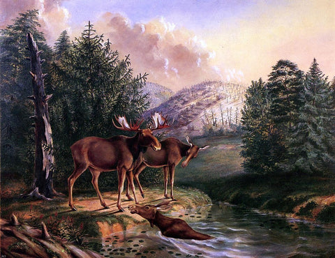  II Titian Ramsey Peale Moose in Maine - Hand Painted Oil Painting