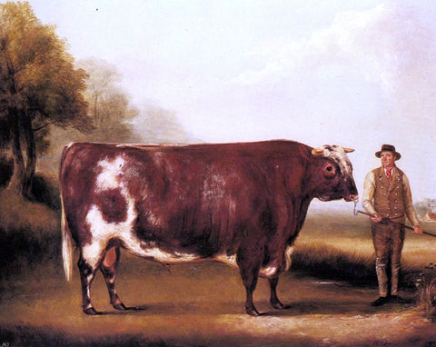  William Davis A Dark Roan Bull - Hand Painted Oil Painting