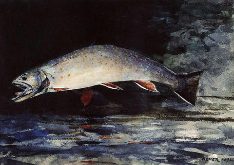 Winslow Homer A Brook Trout - Hand Painted Oil Painting
