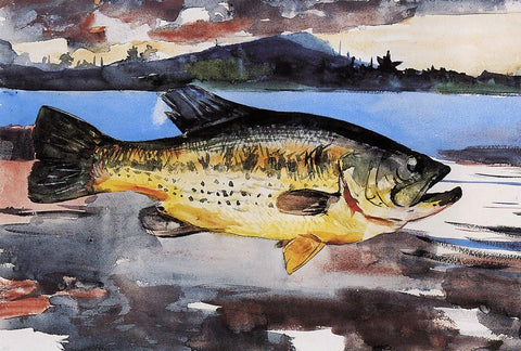 Winslow Homer Bass - Hand Painted Oil Painting