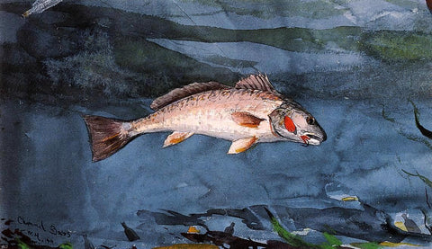  Winslow Homer Channel Bass, Florida - Hand Painted Oil Painting