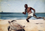  Winslow Homer Rum Cay - Hand Painted Oil Painting