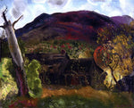  George Wesley Bellows Blasted Tree and Deserted House - Hand Painted Oil Painting