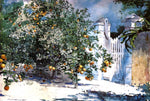  Winslow Homer Orange Tree, Nassau (also known as Orange Trees and Gate) - Hand Painted Oil Painting