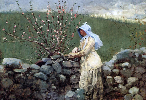  Winslow Homer Peach Blossoms - Hand Painted Oil Painting