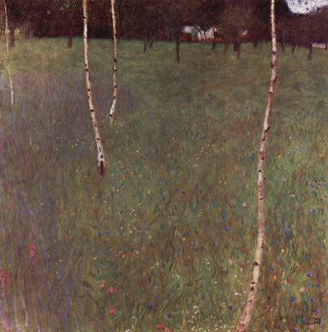  Gustav Klimt Farmhouses with Birch Trees - Hand Painted Oil Painting