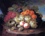  George Forster Still Life with Fruit and Bird's Nest - Hand Painted Oil Painting