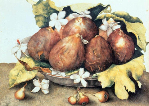  Giovanna Garzoni Figs - Hand Painted Oil Painting